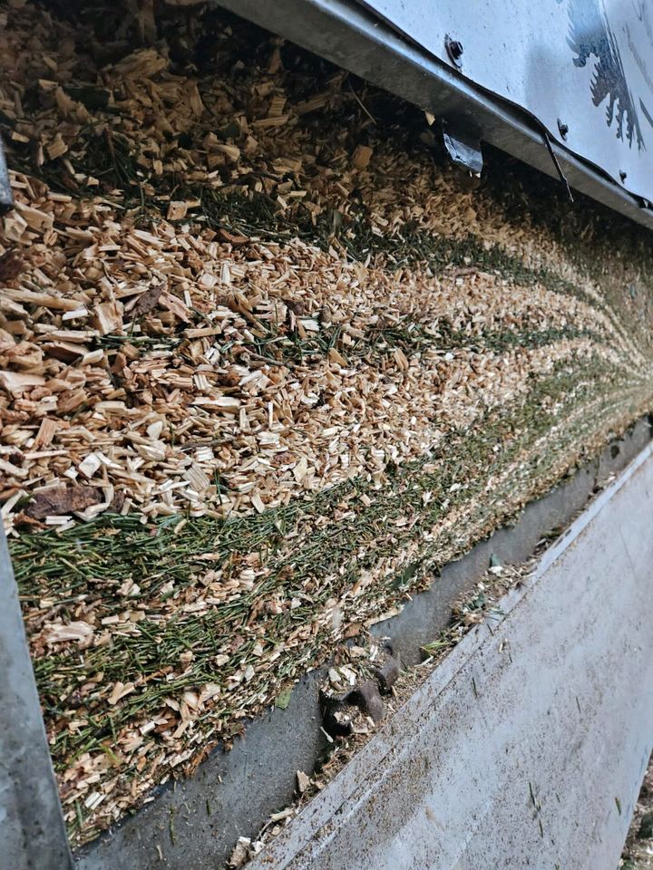 Sturmschäden beseitigen Baumpflege Gartenarbeiten Baumfällungen in Buchloe