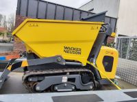 Wacker Neuson Dumper DT12 Kein DT08 Dt10 Nordrhein-Westfalen - Havixbeck Vorschau