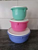 Tupperware Peng Schüsseln Nordrhein-Westfalen - Werdohl Vorschau