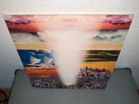 Broken Social Scene ‎– Forgiveness Rock Record 2x Vinyl LP Niedersachsen - Burgwedel Vorschau