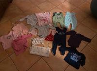 Babysachen, Kleiderpaket Gr 50/56, Bodys,Strampler etc Niedersachsen - Hammah Vorschau