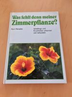 Was fehlt denn meiner Zimmerpflanze? Baden-Württemberg - Dürbheim Vorschau