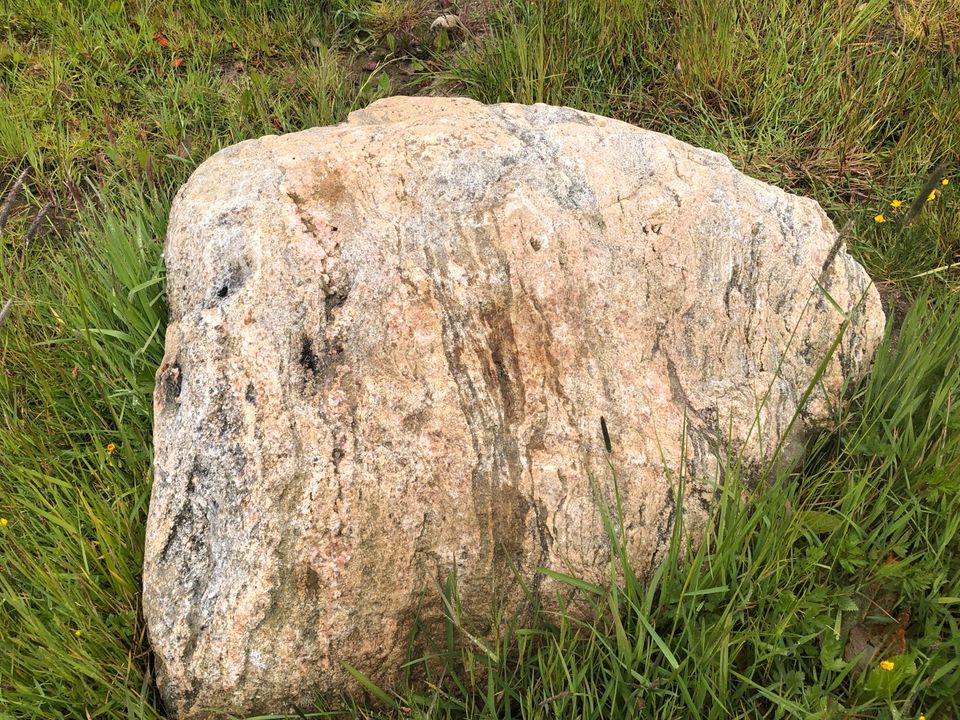 Wegen Geschäftsaufgabe große Findlinge sehr günstig zu verkaufen in Salzhausen