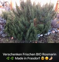 BIO Rosmarin zum Selbstpflücken Made Im Chiemgau Bayern - Frasdorf Vorschau