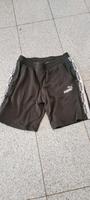 Schwarze Puma Sporthose Bermuda Shorts Gr L Nordrhein-Westfalen - Recklinghausen Vorschau