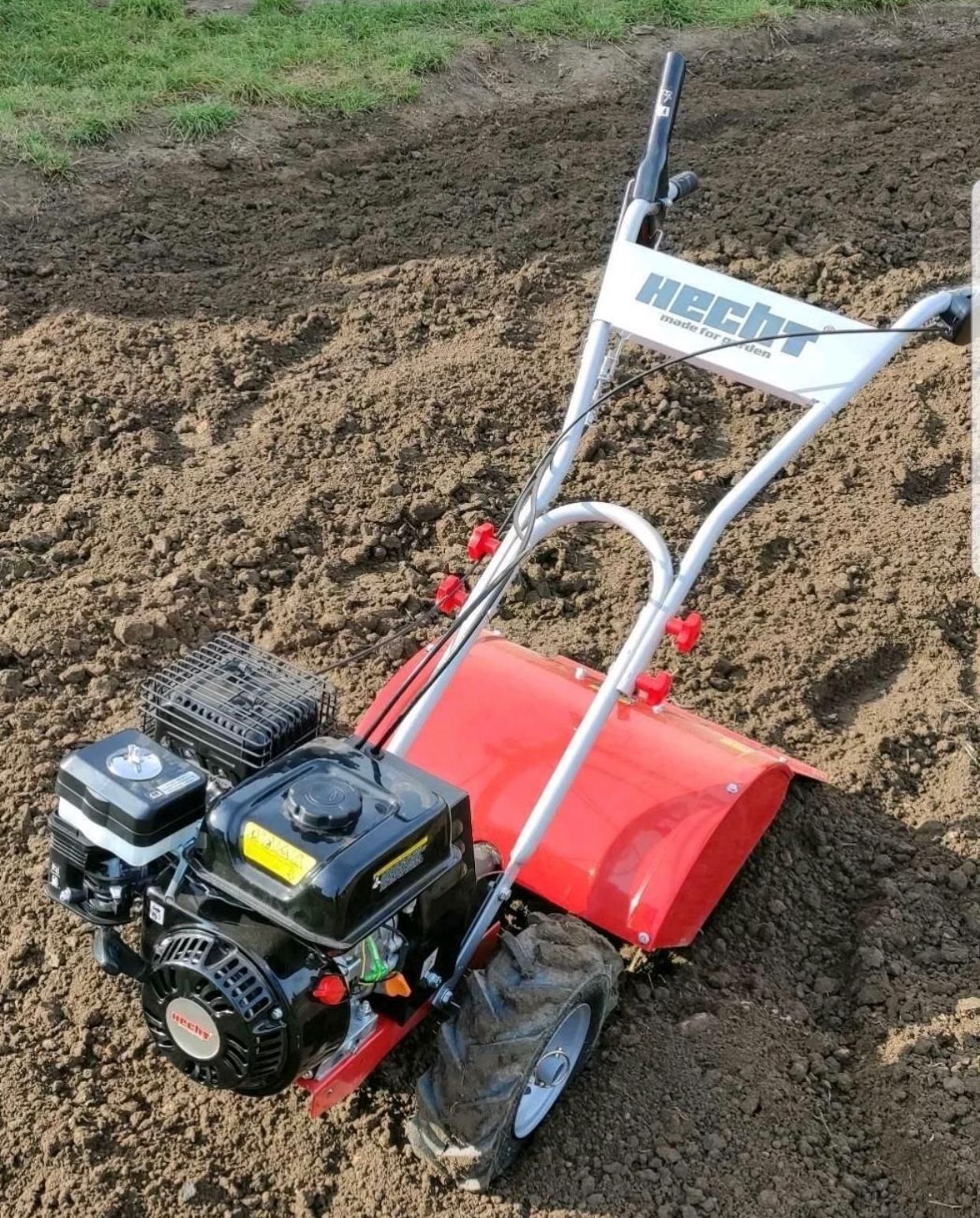 Bodenfräse Motorhacke Gartenfräse Hecht Fräse 750 mieten in Baden