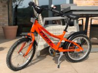 Puky ZLX Fahrrad 16 Zoll Neupreis 230€ Niedersachsen - Salzhemmendorf Vorschau