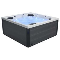 AWT IN 401 eco Sterling Silver 200x200x90 6 Personen Whirlpool Ho Nordrhein-Westfalen - Sonsbeck Vorschau