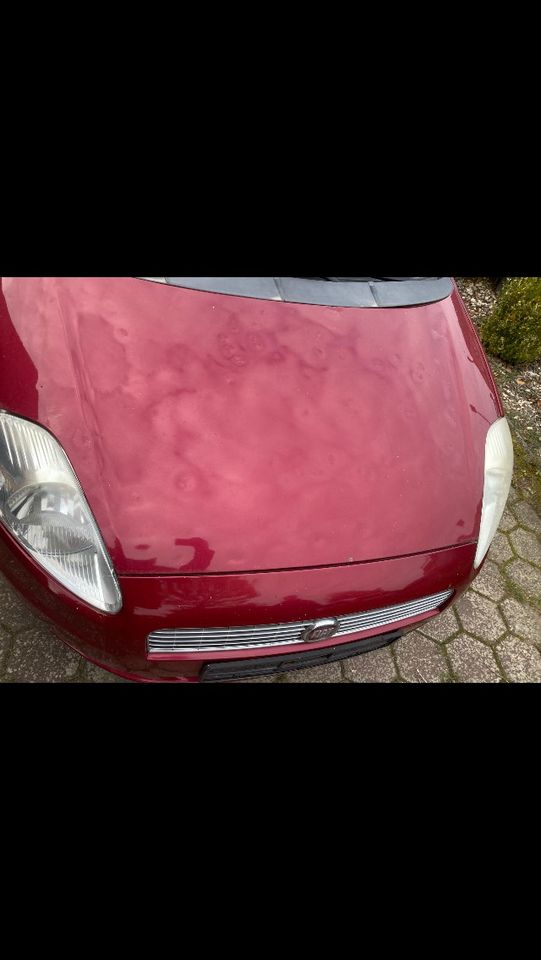 Fiat Punto  Hagel schaden in Hildesheim