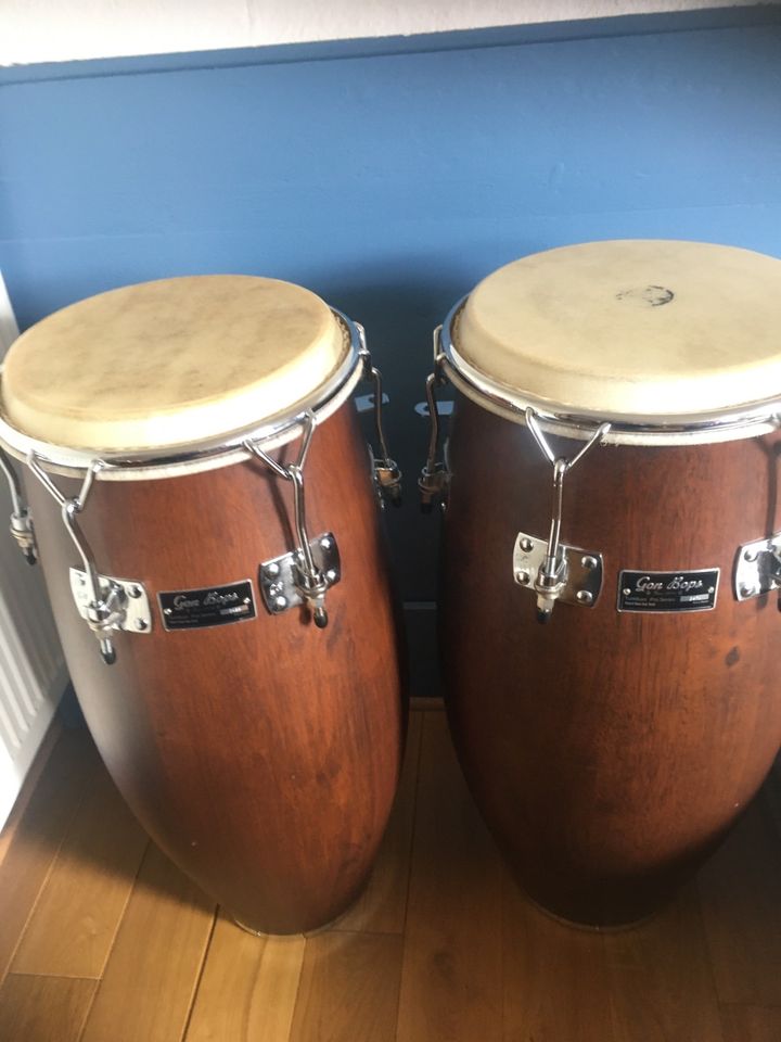 Latin Percussion Gon Bops Congas Toca Elite Bongos in Pohlheim