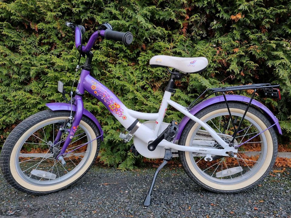 ♡ hübsches Bikestar Kinderfahrrad Fahrrad 16 Zoll Mädchen lila ♡ in Meerane