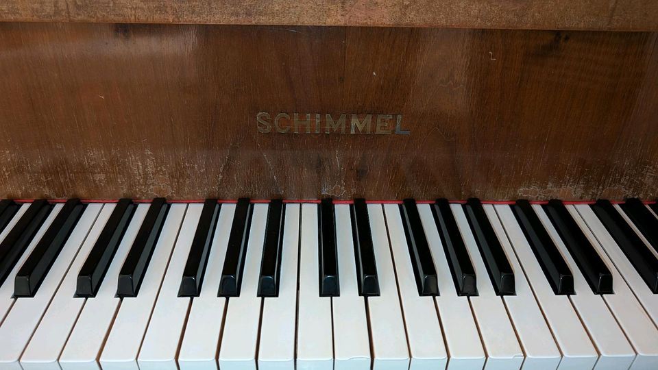 Schimmel Klavier in Rohrdorf