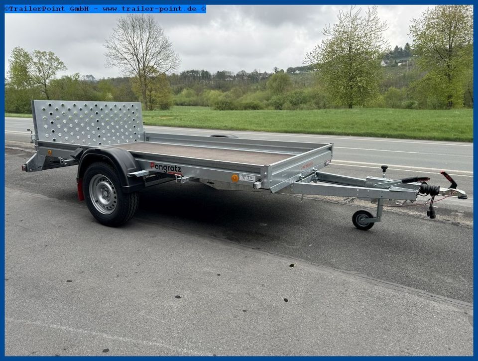 Allzwecktransporter – 1500kg. – 301 x 165 - VERFÜGBAR in Allagen