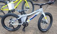 Trenoli Fino 2.0 Disc 20" Kids Bike MTB silber matt Baden-Württemberg - Lahr (Schwarzwald) Vorschau