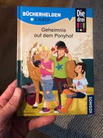 Bücherhelden 2. Klasse Die drei !!! Geheimnis auf dem Ponyhof Altstadt-Lehel - München/Lehel Vorschau