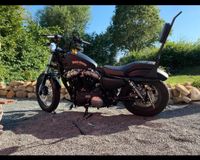 Tausche Harley sporty 48 gegen andere Harley Hörstel - Bevergern Vorschau