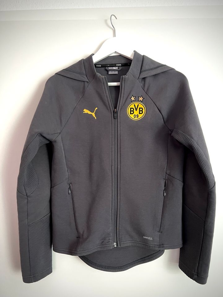 BVB (Puma) Kapuzenjacke, Damen, XS in Obertshausen