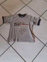 Jungen-T-Shirt Gr.116/122 Bayern - Neustadt a.d.Donau Vorschau