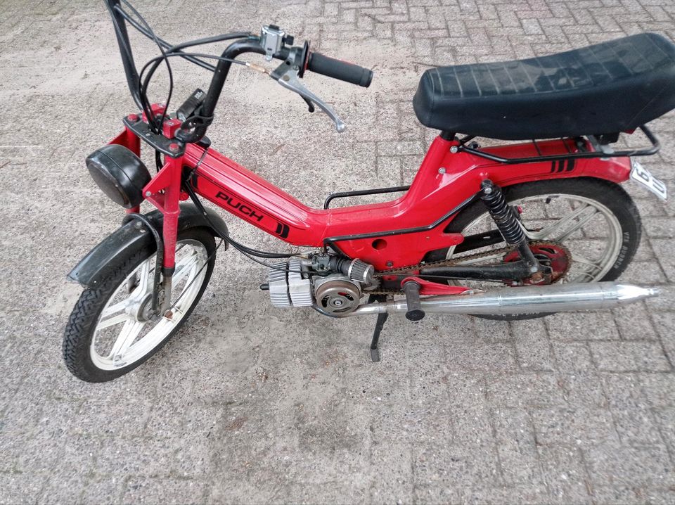 Puch Maxi s  Mofa in Hatten