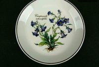 Villeroy & Boch, Campanula rotundifolia, Teller, neu Baden-Württemberg - Mühlheim an der Donau Vorschau