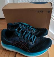 Asics EVO Ride 2 Nordrhein-Westfalen - Leverkusen Vorschau