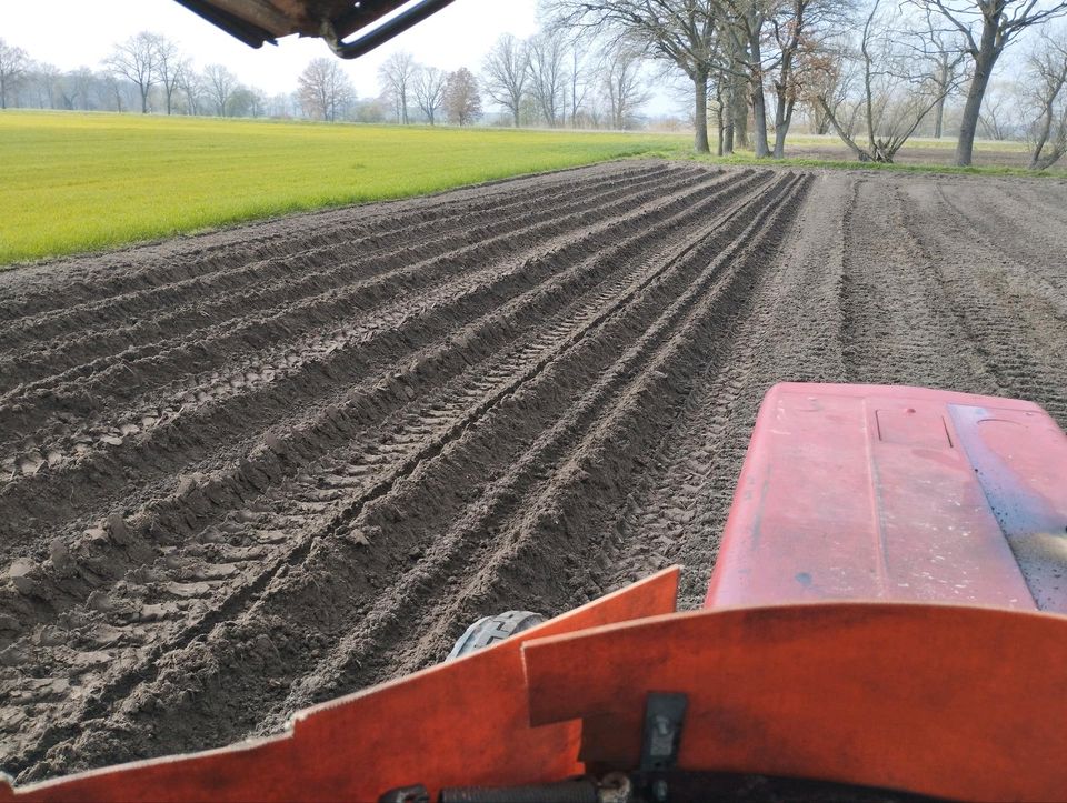 Kartoffel legen  in Lohn in Bismark (Altmark)