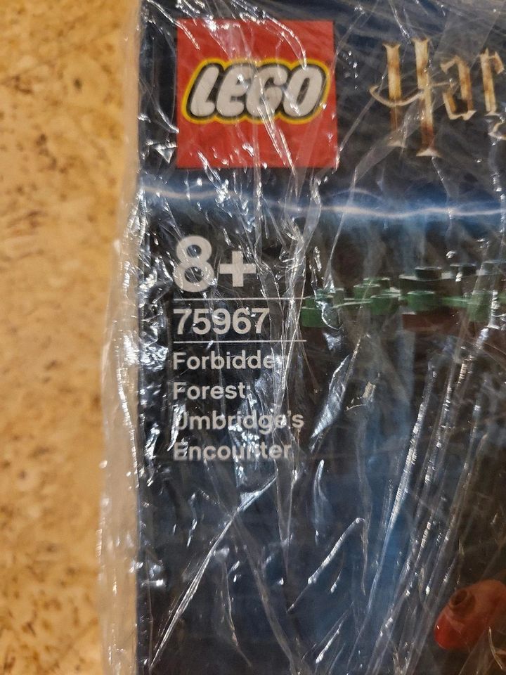 Lego 75967 NEU Harry Potter der verbotene Wald in Eberbach