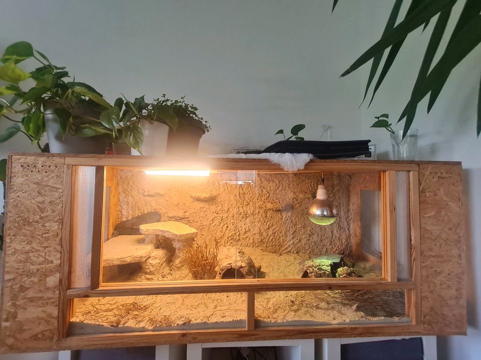 Terrarium 150×60×60 inkl. sämtlichem Zubehör und Lampen in Ratingen