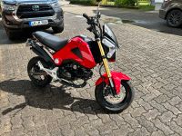 Honda MSX 125 Baden-Württemberg - Schopfheim Vorschau