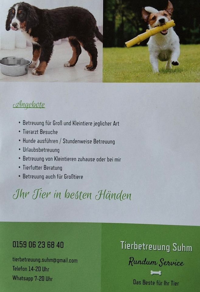 Dogwalking / Hunde ausführen / Stundenweise Betreuung in Gengenbach