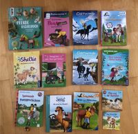 Bücher für Leseänfänger / Pferde Bücher Nordrhein-Westfalen - Steinhagen Vorschau