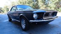 Ford Mustang 289 Coupe 1968 V8 C-Code Dresden - Blasewitz Vorschau