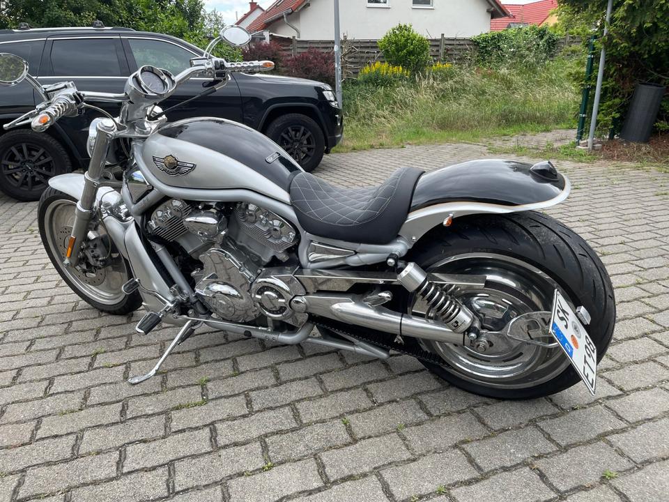 Harley-Davidson V-ROD 100th Anniversary *Heckumbau*2.Hd.* 4520 KM in Halle