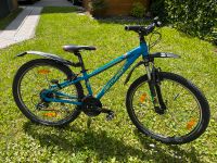 Mountainbike Centurion Backfire 30 - 26 Zoll Stuttgart - Wangen Vorschau