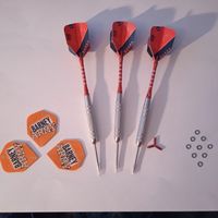 Steel-Dartset 20g - RAYMOND van BARNEVELD mit Zubehör - neu Sachsen - Schkeuditz Vorschau