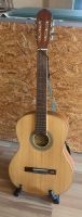 Gitarre MSA HG80 - Acoustic Guitar Baden-Württemberg - Heidelberg Vorschau