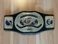 WWE Gürtel - Spielzeug Intercontinental Championship - Wrestling Niedersachsen - Leer (Ostfriesland) Vorschau