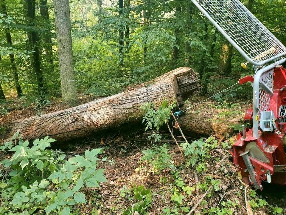 Brennholz-Transport, Rückearbeiten, Seilwindenarbeit, Waldarbeit in Grimmelshausen