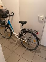 Fahrrad mit Korb Rheinland-Pfalz - Alsheim Vorschau