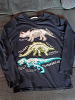 Langarmshirt Dino mit Wendepailletten Gr. 134/140 für Jungs Müritz - Landkreis - Penkow Vorschau