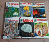 Alte Was ist Was Bücher,  Pilze, Vulkane,  Chemie, Mond etc Niedersachsen - Wietmarschen Vorschau