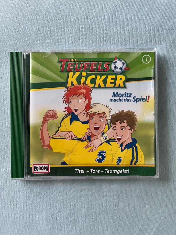 Teufelskicker CD-Sammlung in Märkische Heide