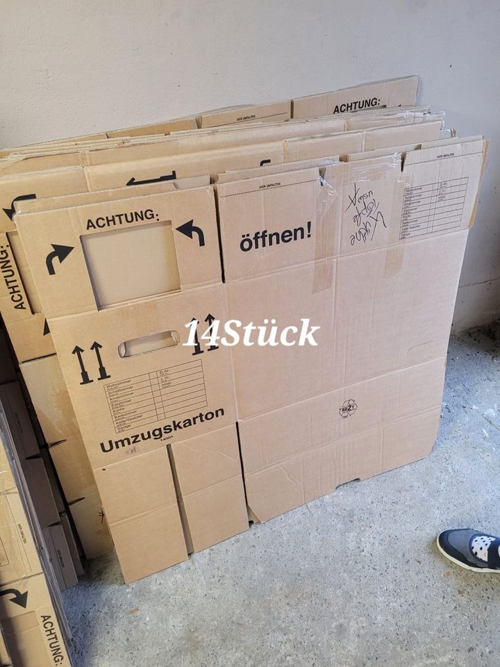 Umzug Karton Kisten  ca 100 Stück in Hüffelsheim