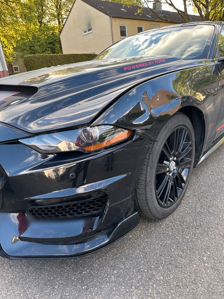 FORD MUSTANG 3,7 GT350 FACELIFT SHELBY LPG in Dortmund