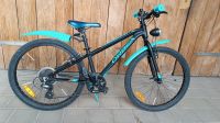 Orbea MX 24 Kinder Fahrrad, voll ausgestattet, 7 Gang Shimano Baden-Württemberg - Oberkirch Vorschau