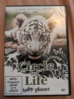 Circle of Life DVD Dresden - Neustadt Vorschau