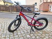 Mountainbike 20 Zoll Bikestar Sachsen - Werdau Vorschau