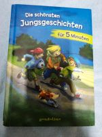 Buch die schönsten Jungs Geschichten Baden-Württemberg - Biberach Vorschau