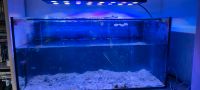 Aquarium 120x50x60cm 360 Liter Baden-Württemberg - Satteldorf Vorschau