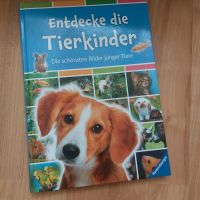 Buch entdecke Die Tierkinder Baden-Württemberg - Leinfelden-Echterdingen Vorschau